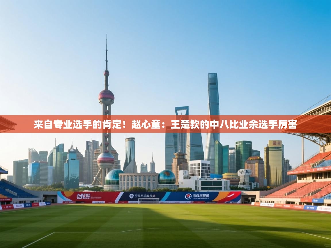 来自专业选手的肯定!赵心童:王楚钦的中八比业余选手厉害 第2张