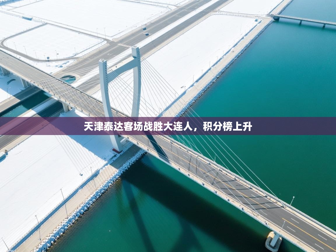 天津泰达客场战胜大连人，积分榜上升  第1张