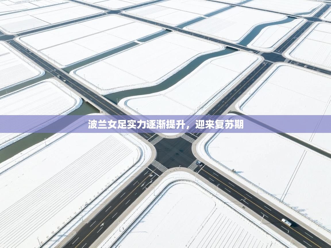 波兰女足实力逐渐提升,迎来复苏期 第1张