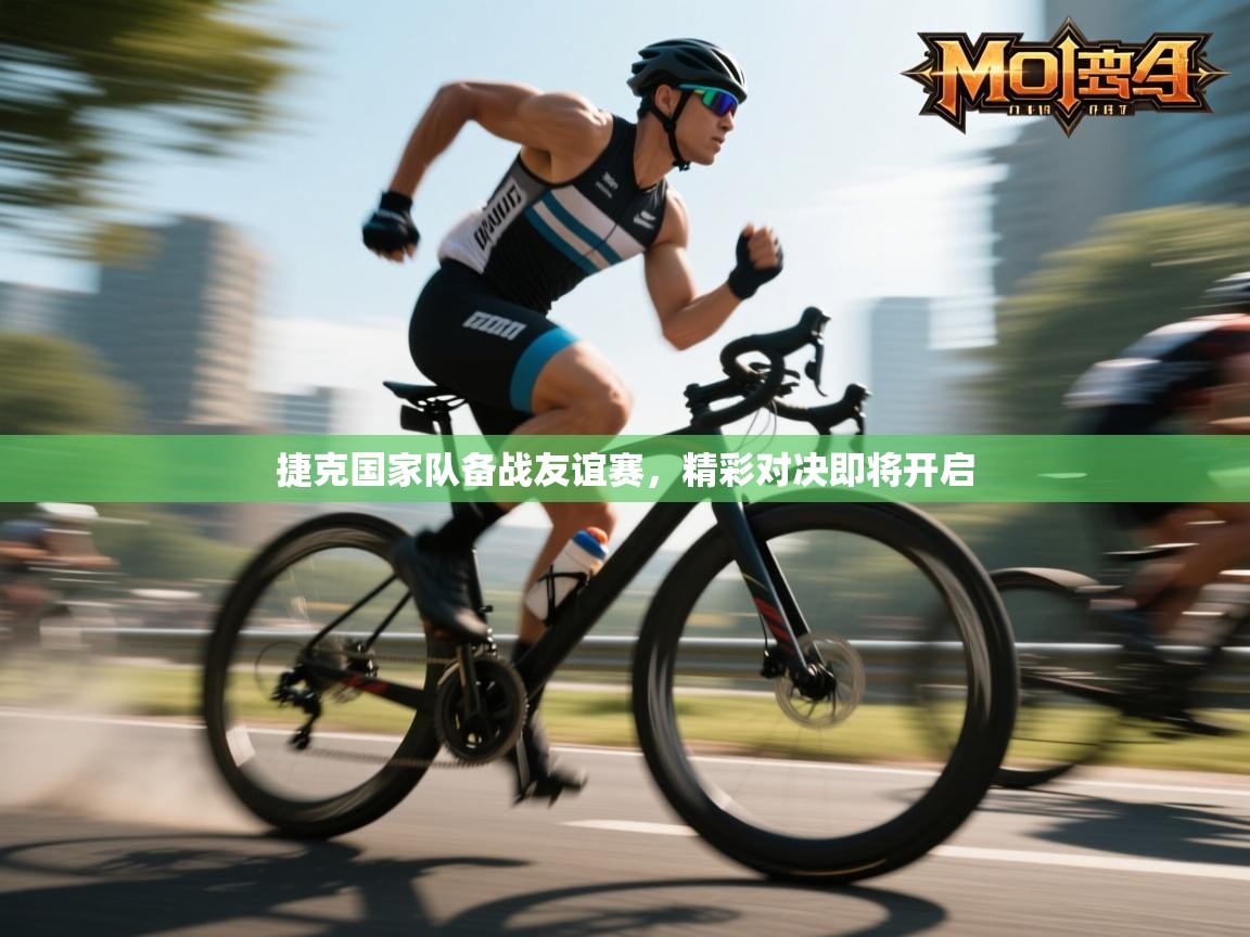 捷克国家队备战友谊赛,精彩对决即将开启 第1张